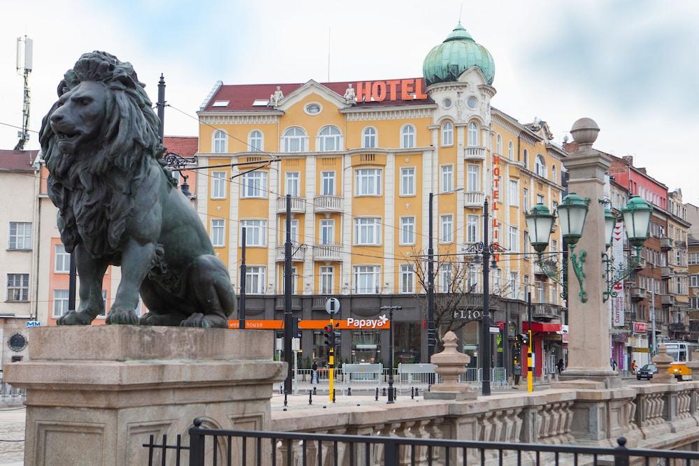 Hotel Lion